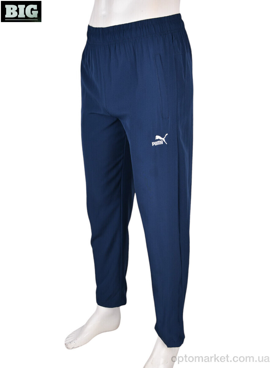 Купить Спортивні штаны чоловічі 4033-A06-2 navy P.ma синій, фото 2