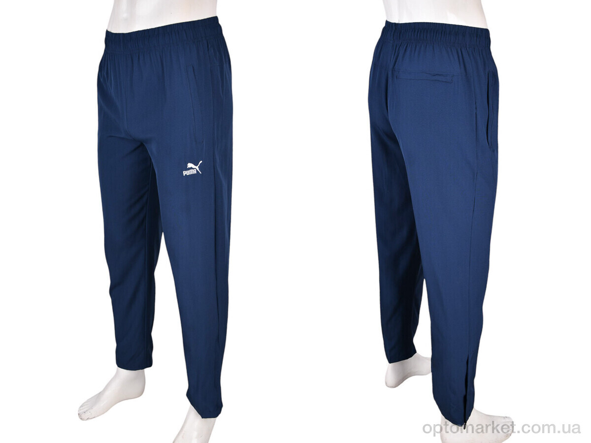 Купить Спортивні штаны чоловічі 4033-A06-2 navy P.ma синій, фото 4