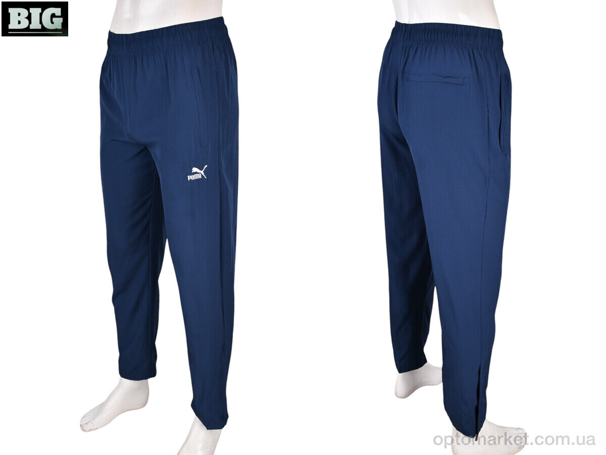 Купить Спортивні штаны чоловічі 4033-A06-2 navy P.ma синій, фото 4