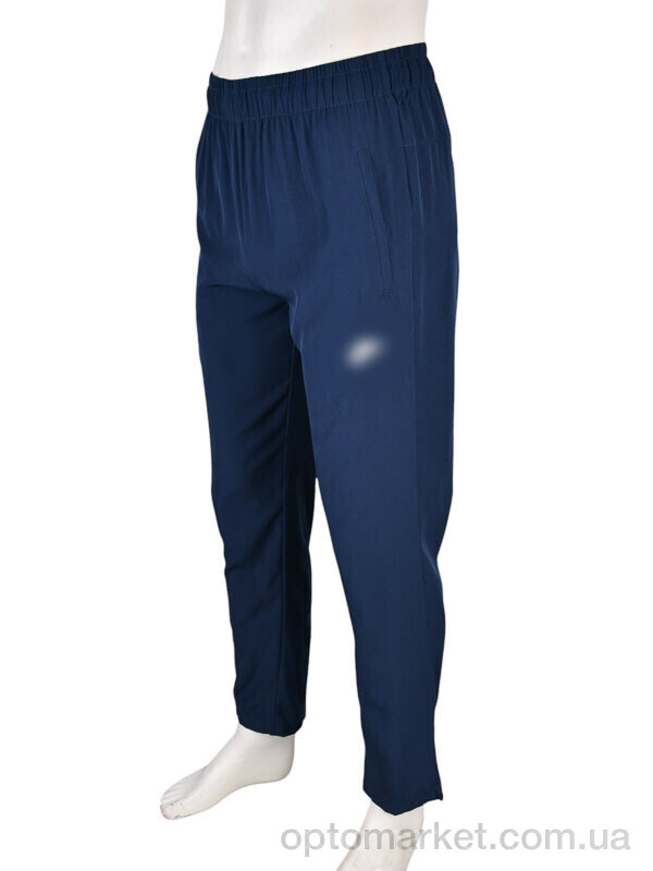 Купить Спортивні штаны чоловічі 4033-A12-2 navy N.ke синій, фото 1