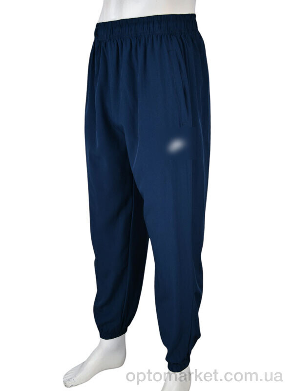 Купить Спортивні штаны чоловічі 4034-A08-2 navy N.ke синій, фото 1