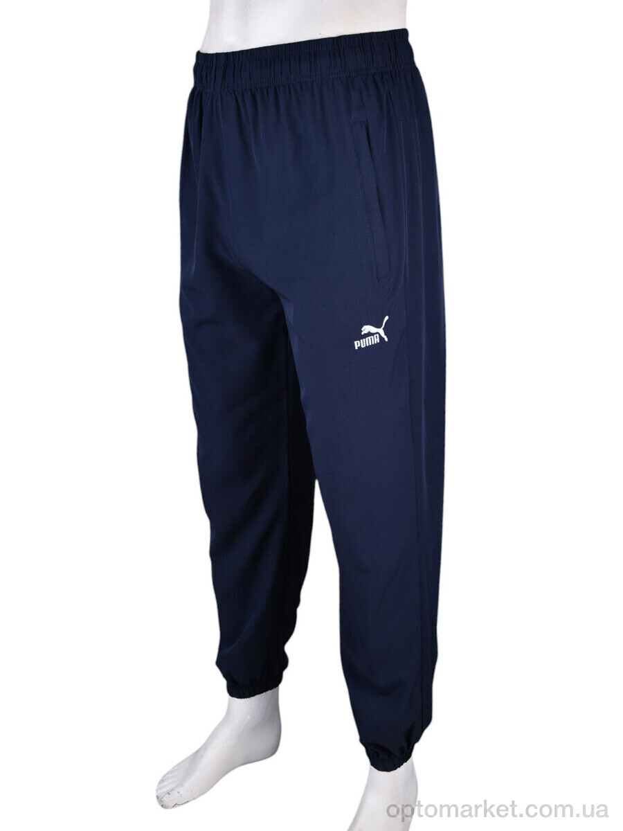 Купить Спортивні штаны чоловічі 4034-A14-2 navy P.ma синій, фото 2