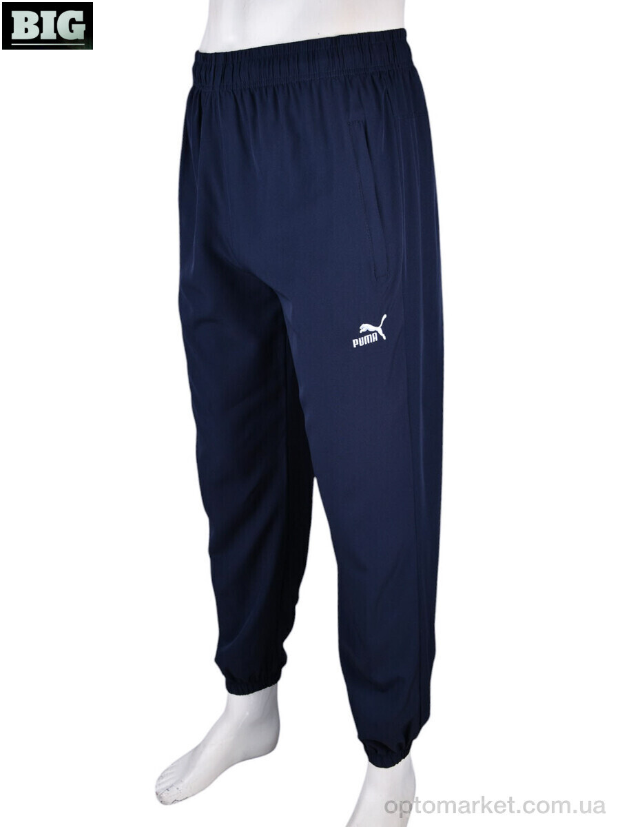 Купить Спортивні штаны чоловічі 4034-A14-2 navy P.ma синій, фото 2