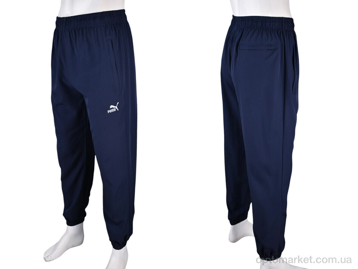 Купить Спортивні штаны чоловічі 4034-A14-2 navy P.ma синій, фото 4