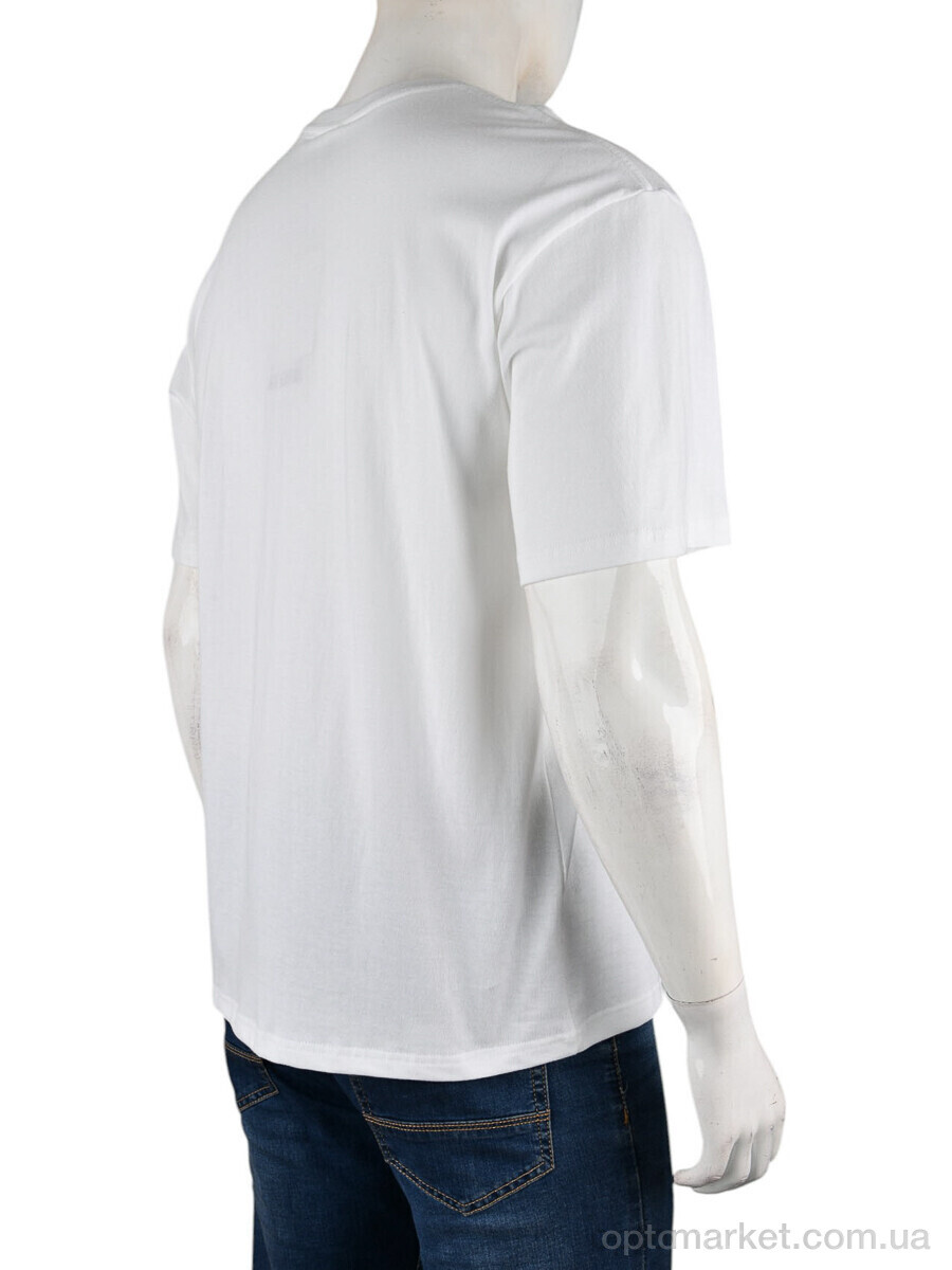 Купить Футболка чоловічі 4072-M01-2 white Ale Edition білий, фото 2