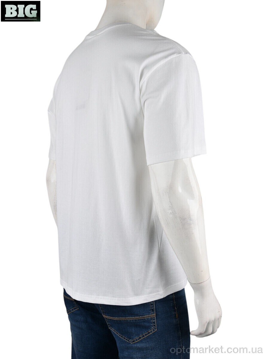 Купить Футболка чоловічі 4072-M01-2 white Ale Edition білий, фото 2