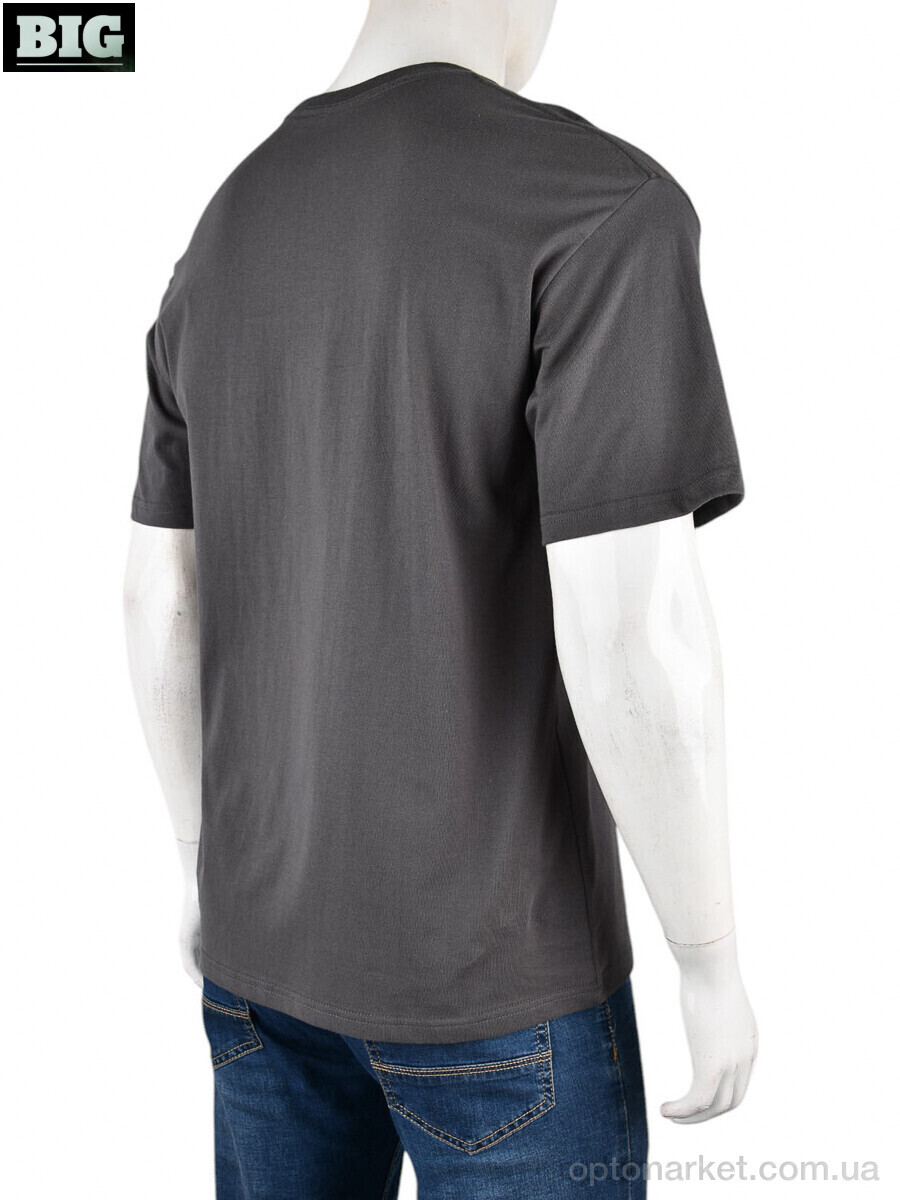 Купить Футболка чоловічі 4072-M01-3 grey Ale Edition сірий, фото 2
