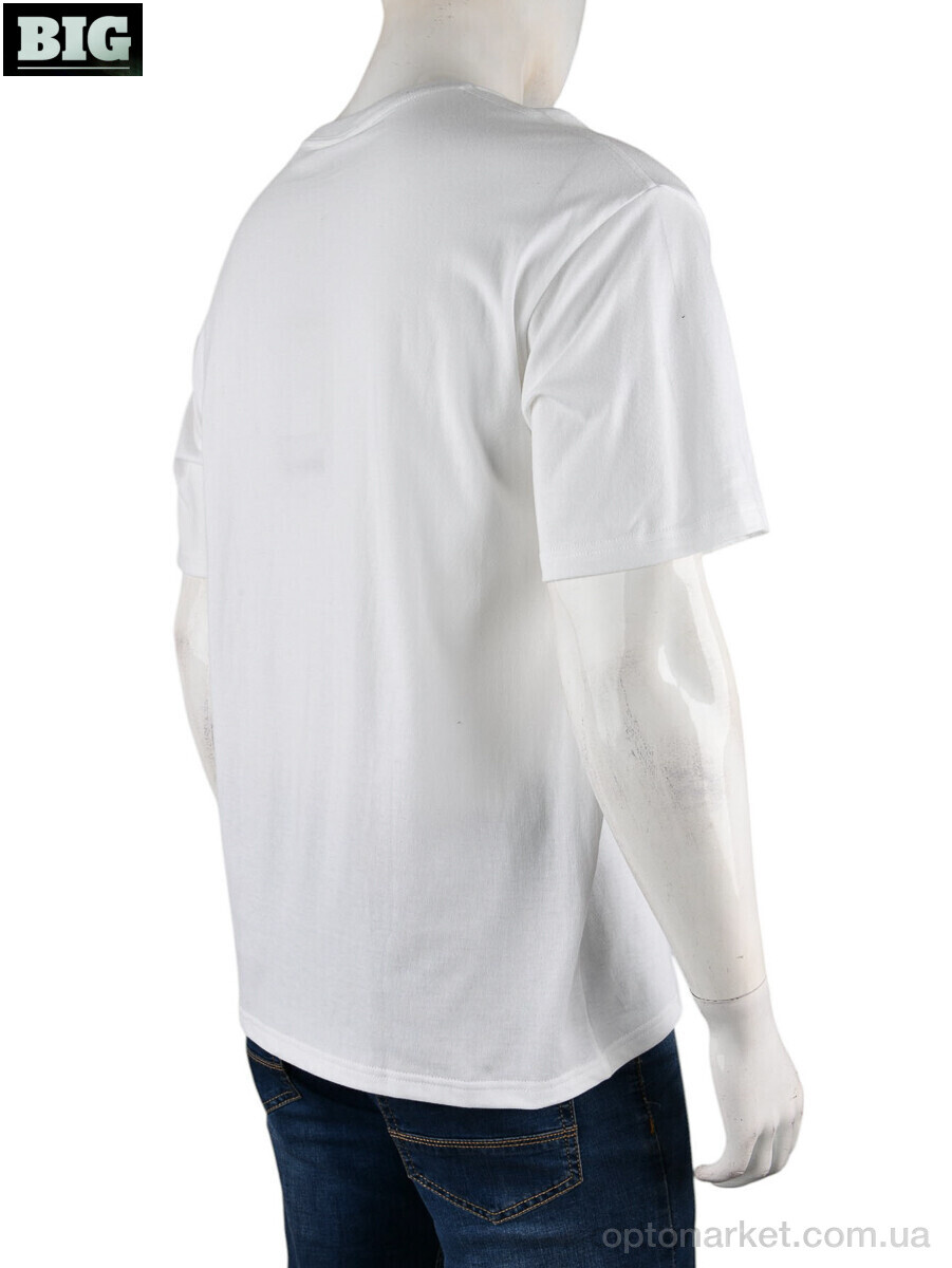 Купить Футболка чоловічі 4072-M02-2 white Ale Edition білий, фото 2