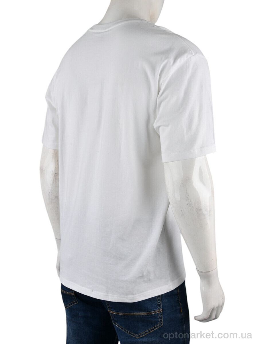 Купить Футболка чоловічі 4072-M03-2 white Ale Edition білий, фото 2