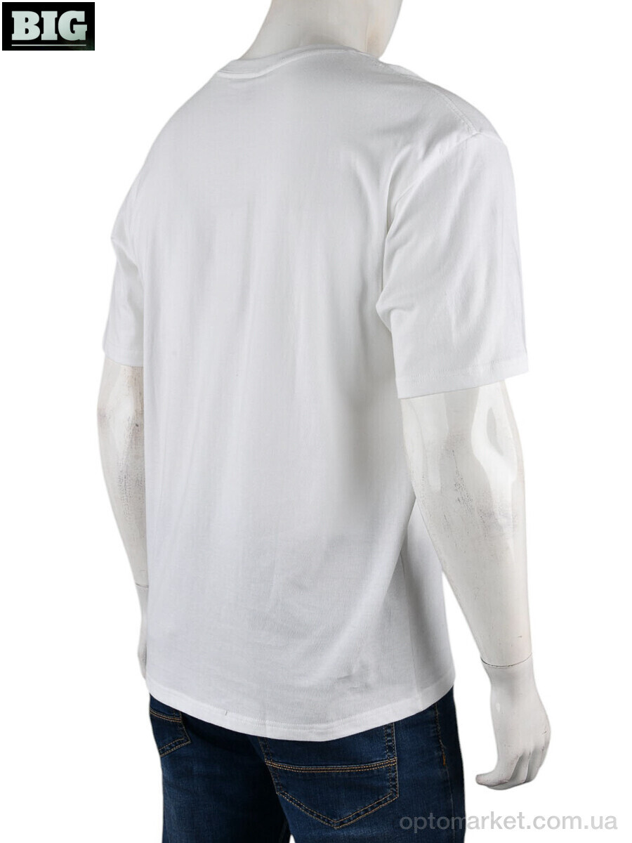 Купить Футболка чоловічі 4072-M03-2 white Ale Edition білий, фото 2