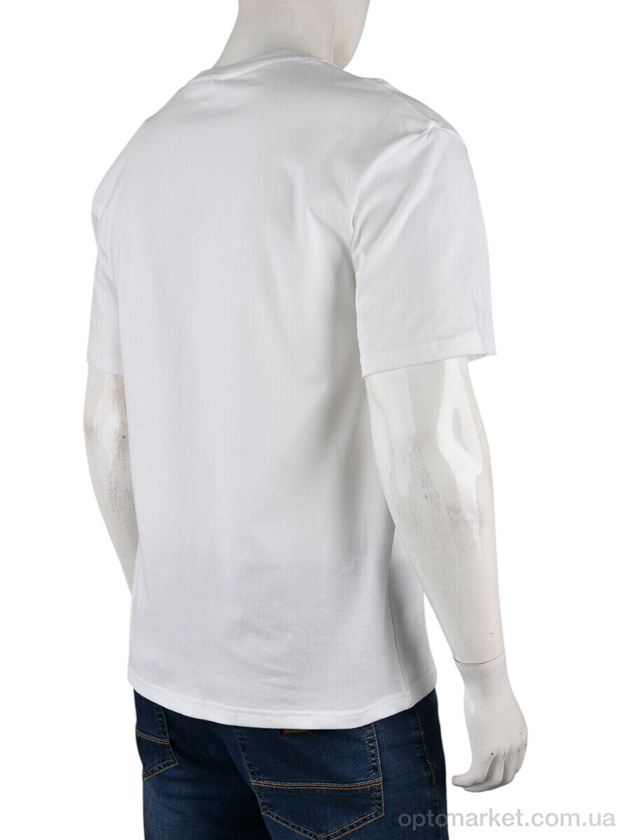 Купить Футболка чоловічі 4072-M04-2 white Ale Edition білий, фото 2