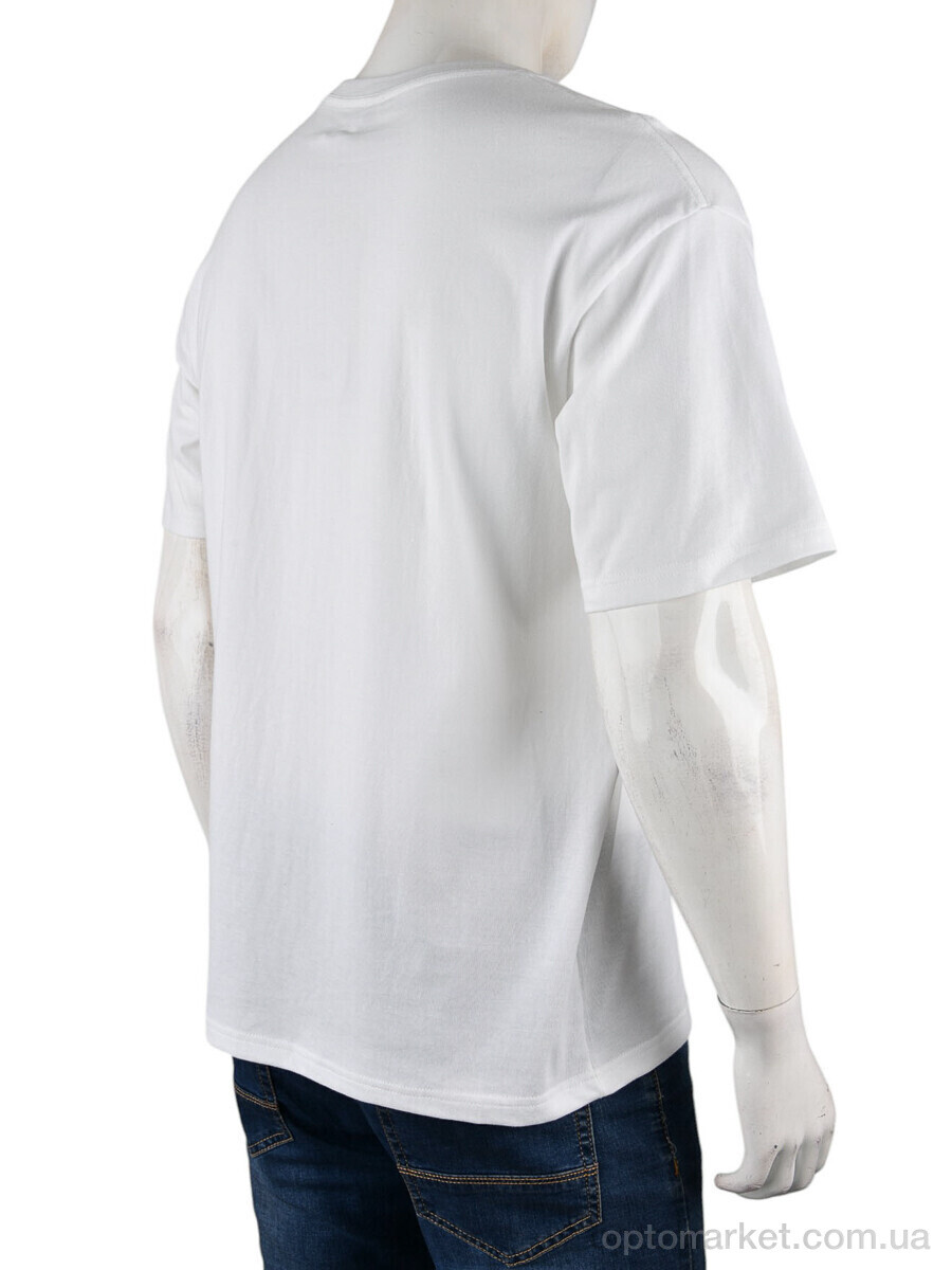 Купить Футболка чоловічі 4072-M06-2 white Ale Edition білий, фото 2