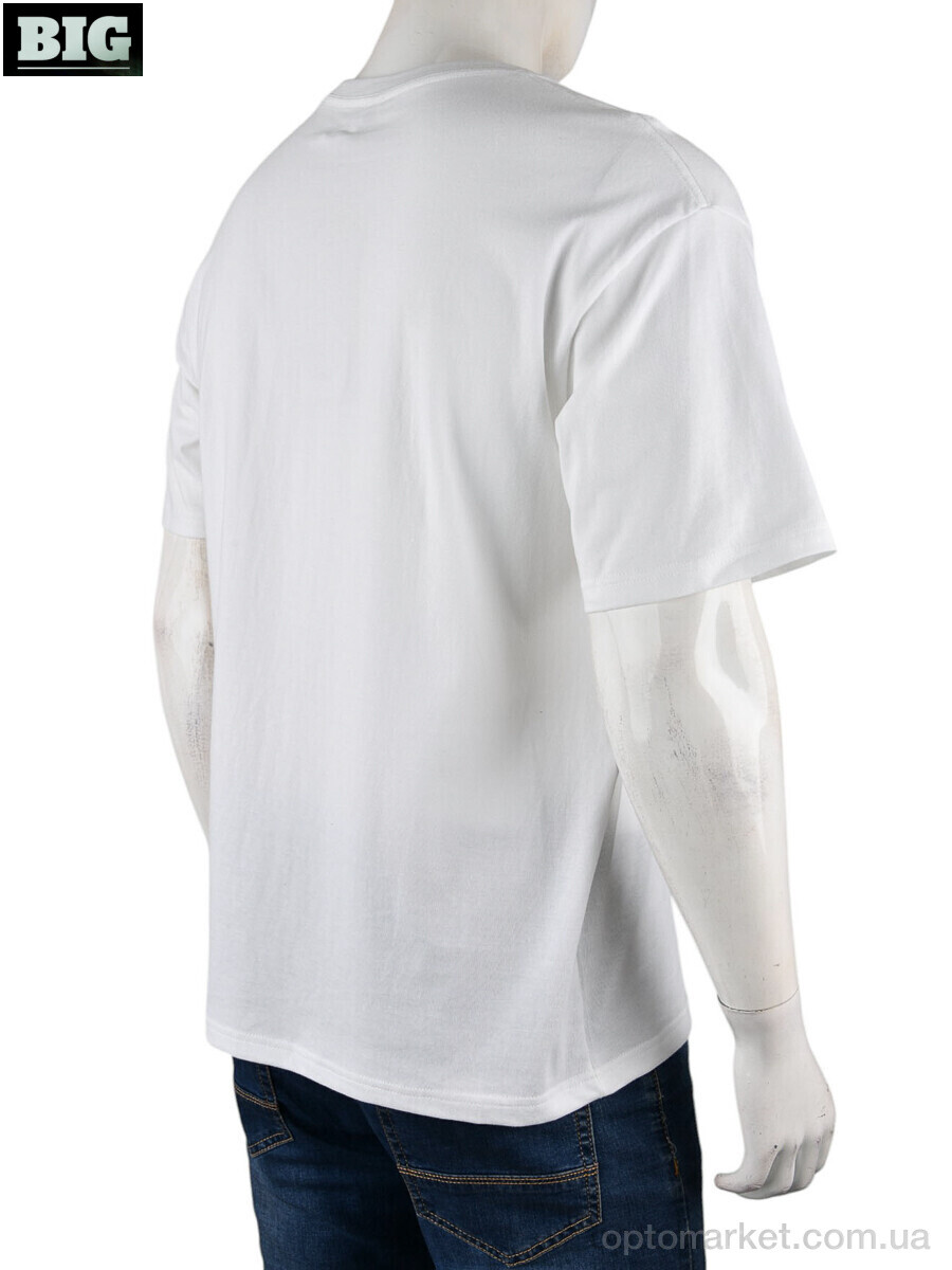 Купить Футболка чоловічі 4072-M06-2 white Ale Edition білий, фото 2