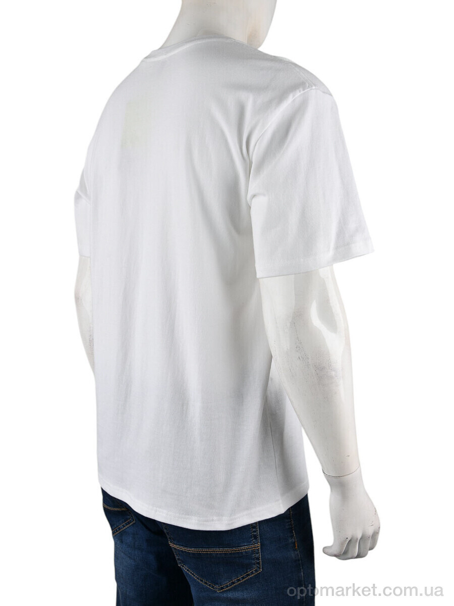 Купить Футболка чоловічі 4072-M07-2 white Ale Edition білий, фото 2