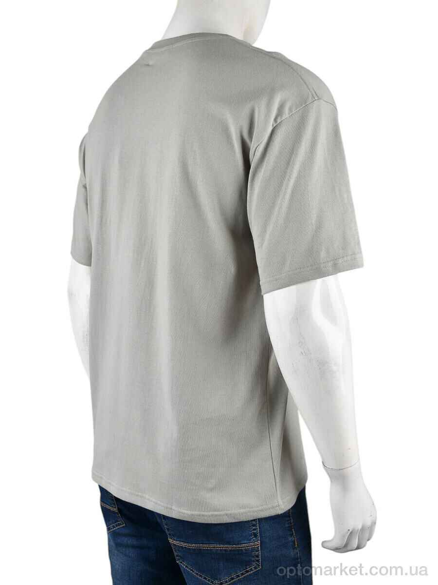 Купить Футболка чоловічі 4072-M07-4 grey Ale Edition сірий, фото 2