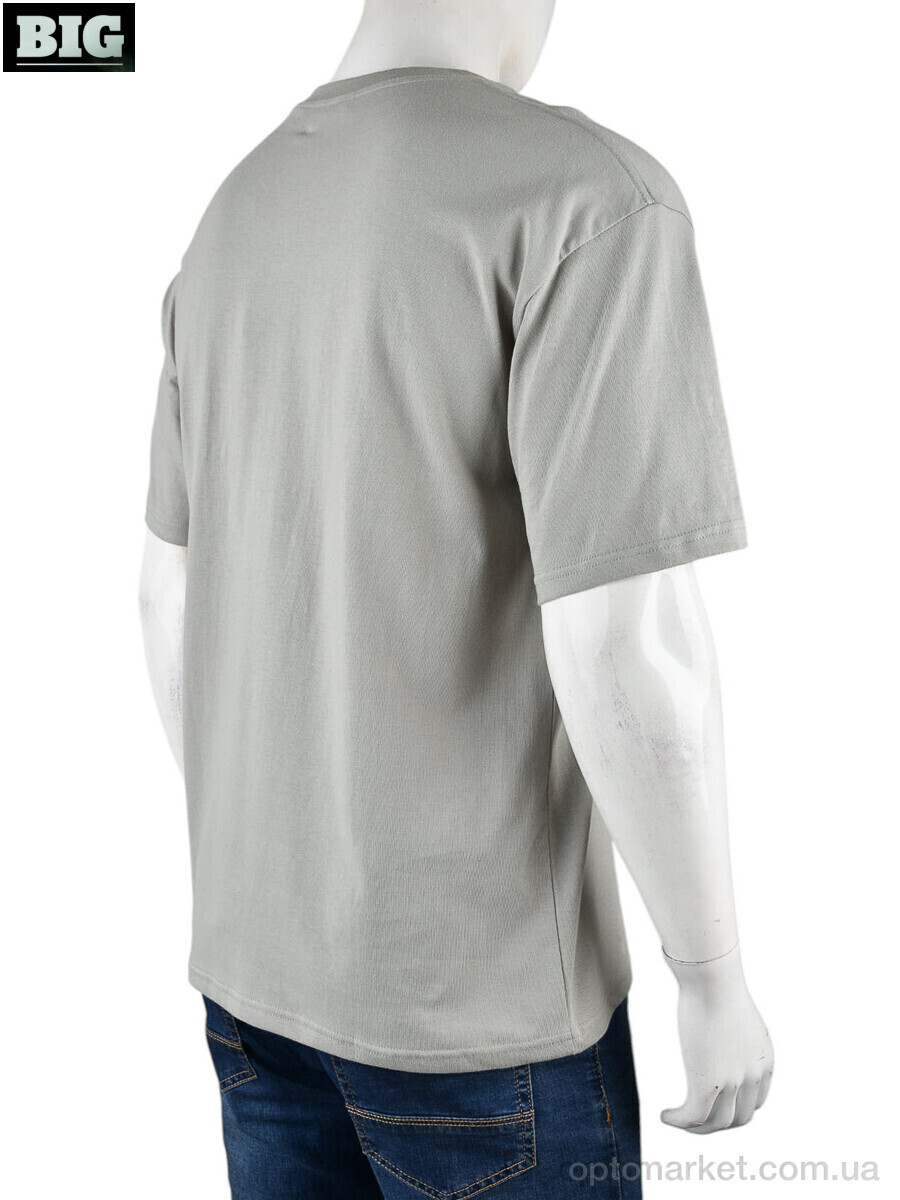 Купить Футболка чоловічі 4072-M07-4 grey Ale Edition сірий, фото 2