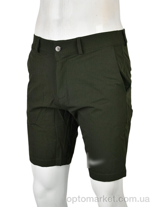 Купить Шорти чоловічі 4087-S820-2 green Royal зелений, фото 1