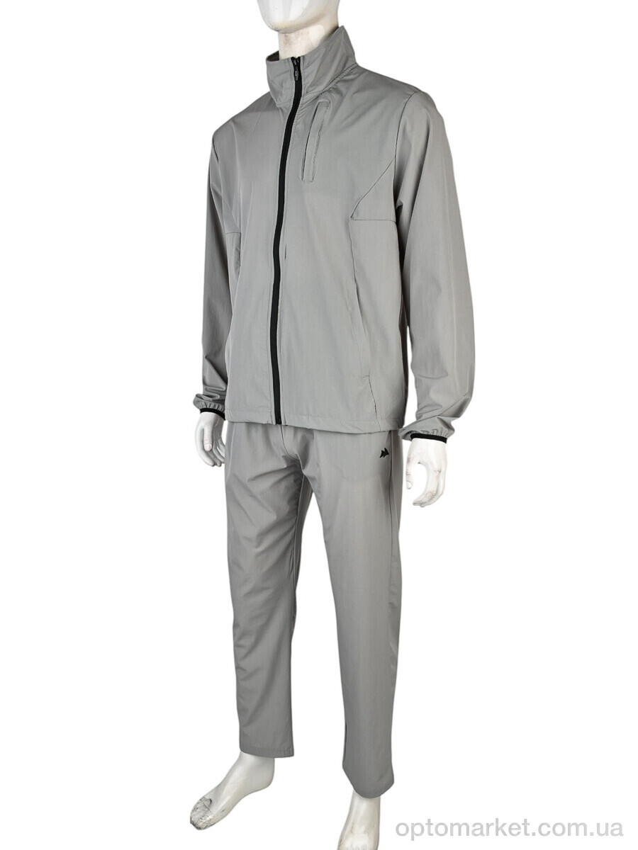 Купить Спортивний костюм чоловічі 4101-A56-3 grey Ale Edition сірий, фото 1