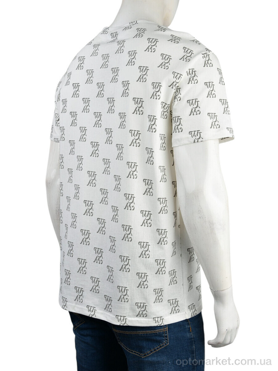 Купить Футболка чоловічі 4117-NT572-2 white Nana білий, фото 2