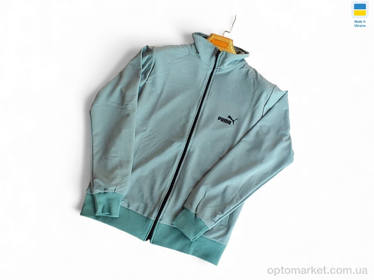 Купить Кофта чоловічі 501 PU морська хвиля P.ma блакитний, фото 2