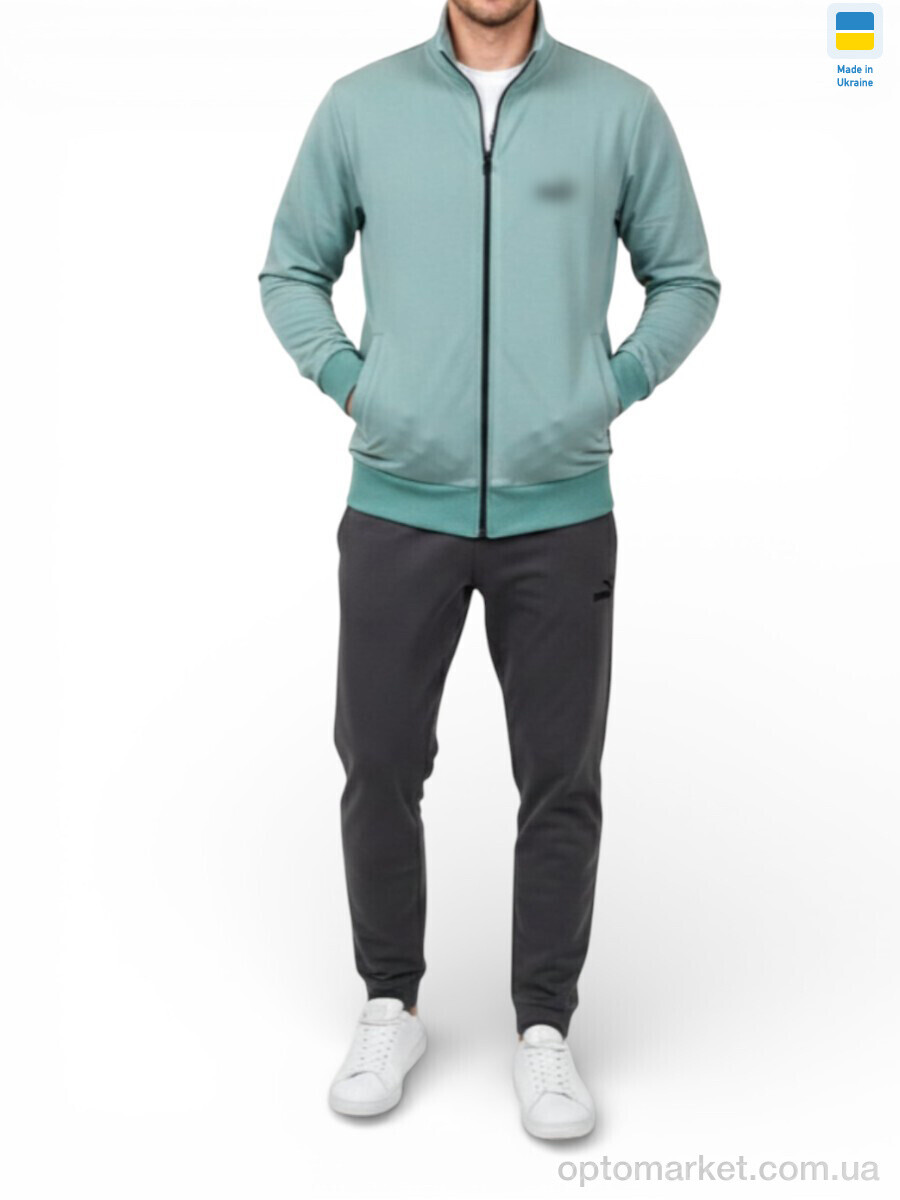 Купить Кофта чоловічі 502PU морська хвиля P.ma блакитний, фото 1