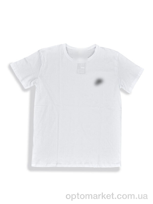 Купить Футболка чоловічі 821-M білий Style Gaming білий, фото 1