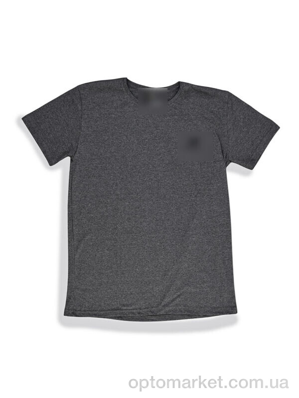 Купить Футболка чоловічі 825-M темно-сірий Style Gaming сірий, фото 1