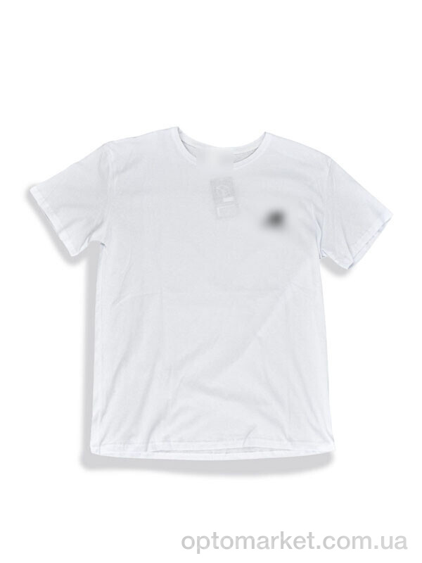 Купить Футболка чоловічі 827-M білий Style Gaming білий, фото 1