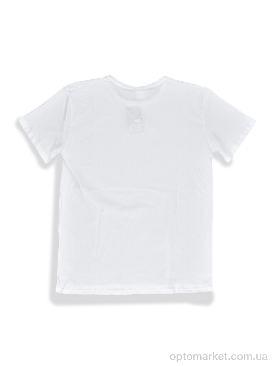 Купить Футболка чоловічі 827-M білий Style Gaming білий, фото 3
