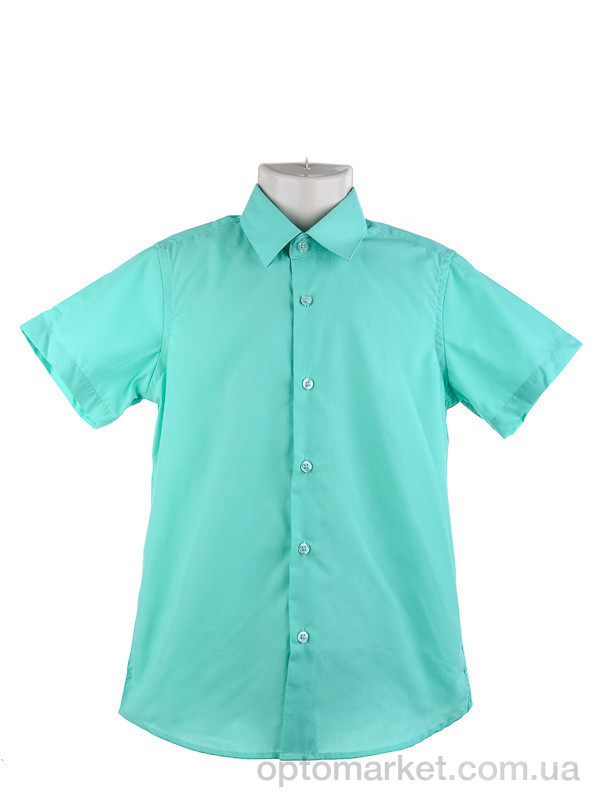 Купить Рубашка детские KAR106-7 green Verton зеленый, фото 1