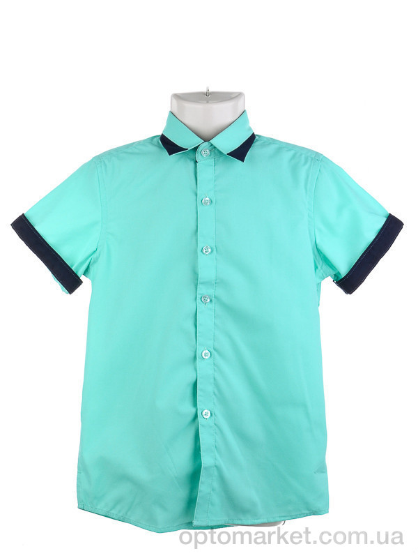 Купить Рубашка детские KAR265-7 green Verton зеленый, фото 1