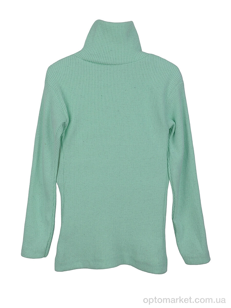 Купить Водолазка дитячі AB001-4 mint OL зелений, фото 2