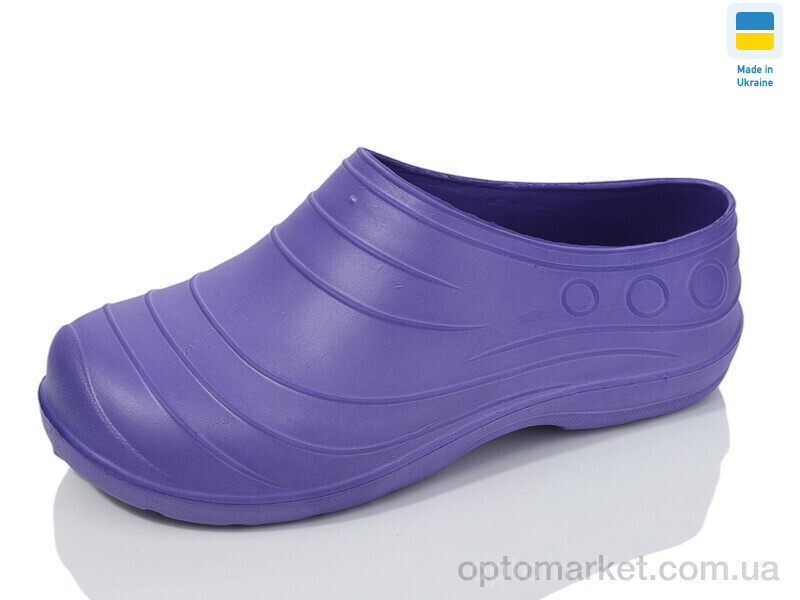 Купить Галоші жіночі Б06 фіолет Garden фіолетовий, фото 1
