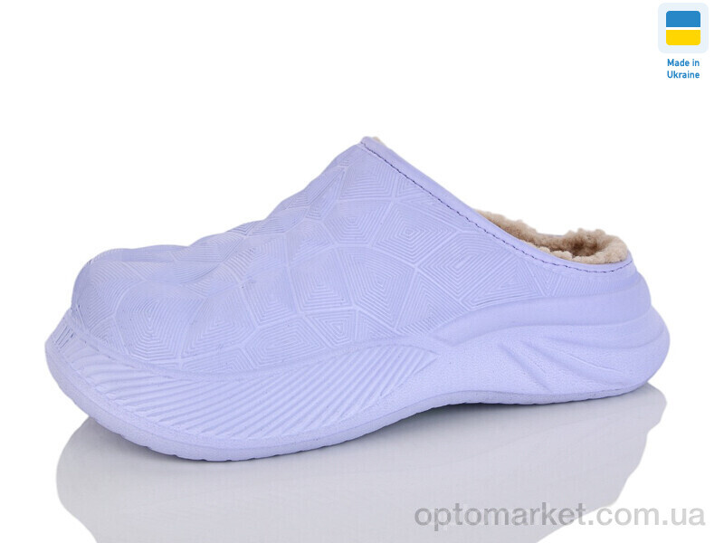 Купить Галоші жіночі B603 небесний TapMal фіолетовий, фото 1