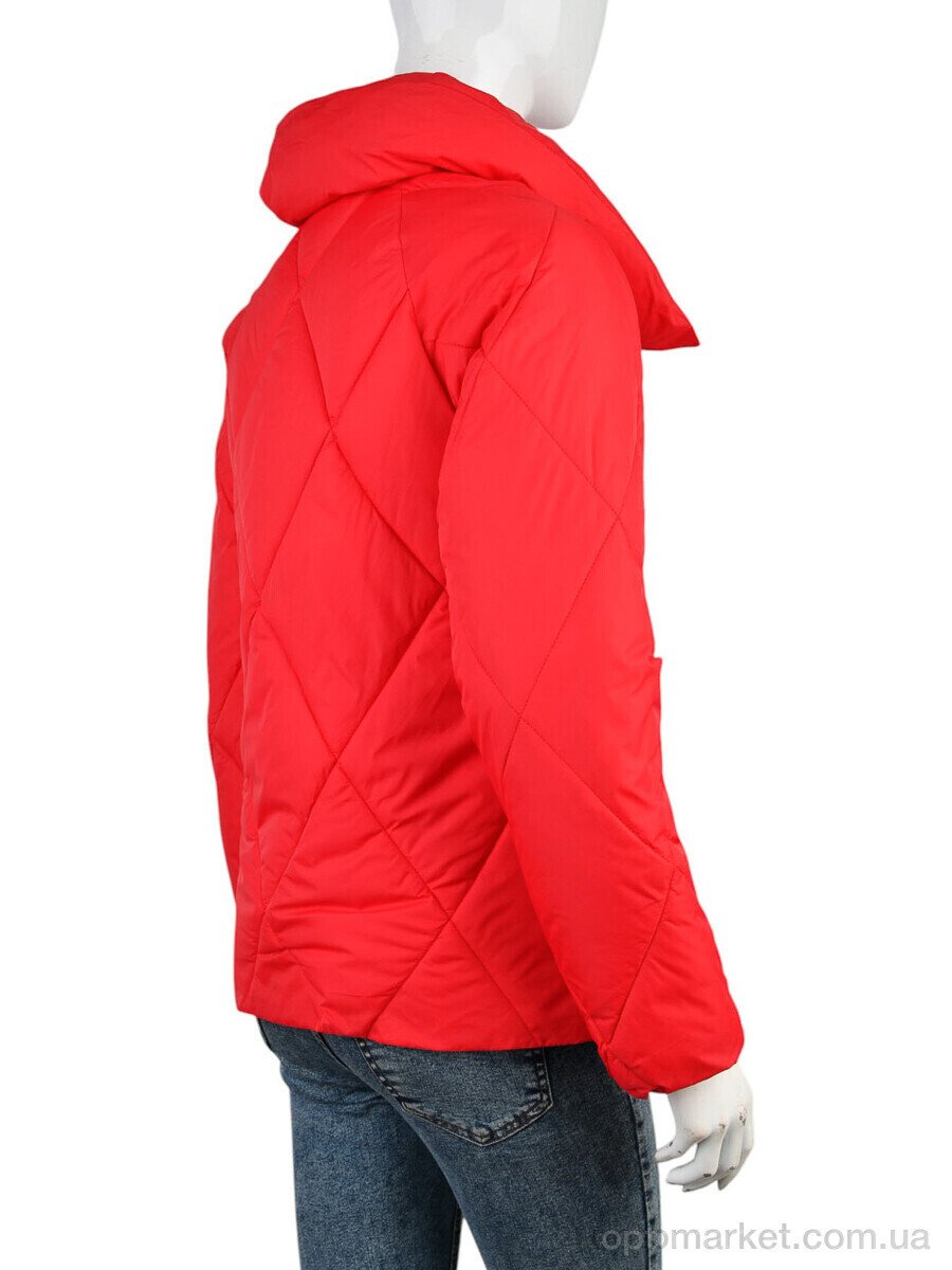 Купить Куртка жіночі B966 (11951) red Annagella червоний, фото 2