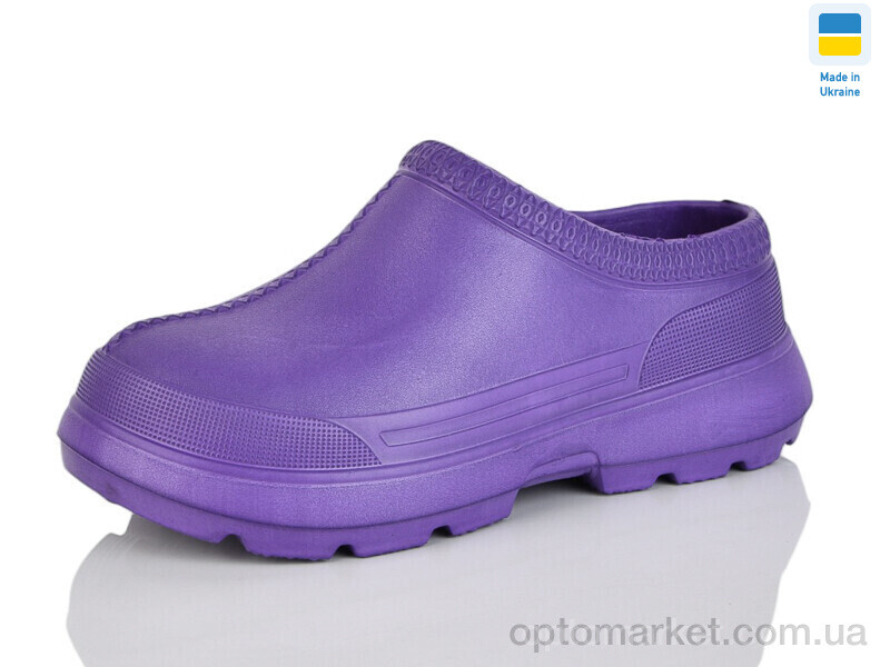 Купить Галоші жіночі BM35 хол.бордовий Verta фіолетовий, фото 1