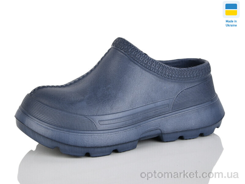 Купить Галоші жіночі BM35 хол.синій Verta синій, фото 1