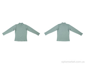 Гольфи жіночі 0017 l.green Style Gaming зелений  оптом от Optomarket