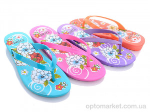 Купить Шльопанці жіночі 1402 mix Sydney мікс