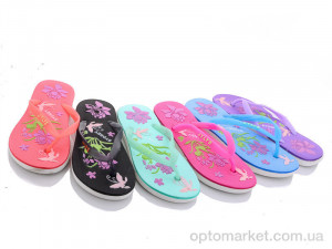Купить Шльопанці жіночі 1516B mix Sydney мікс
