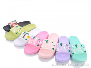 Купить Шльопанці жіночі 1806-1 mix Alex мікс