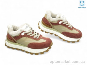 Купить Кросівки жіночі 191372 ALLSY червоний