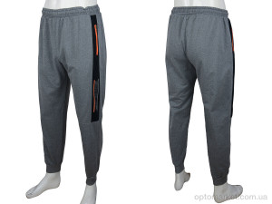 Спортивні штаны чоловічі 1932 grey Red Hat сірий  оптом от Optomarket