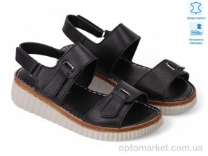 Купить Босоніжки жіночі 197232 Anna Lucci чорний