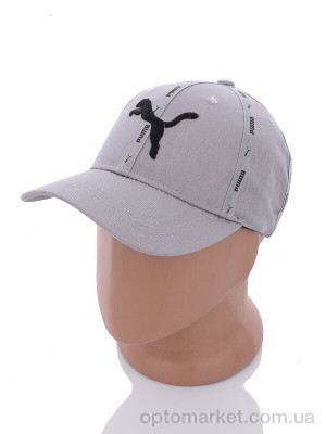 Кепка чоловічі 2012-2 grey P.ma сірий  оптом от Optomarket