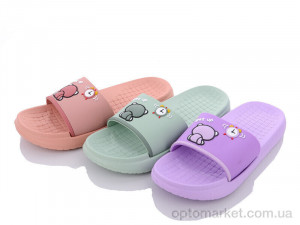 Купить Шльопанці жіночі 2015-17 mix Slippers мікс