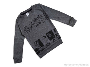 Купить Батник дитячі 2020 сірий EAC Kids сірий