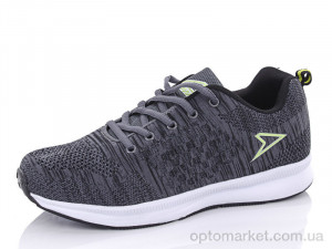 Купить Кросівки чоловічі 2022-5 Alaska сірий