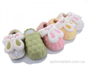 Купить Капці жіночі 2023HM-6 mix Lion мікс