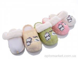 Купить Капці жіночі 2023HM-7 mix Lion мікс
